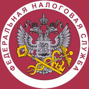 Налоговые инспекции, службы Борисовки