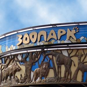 Зоопарки Борисовки